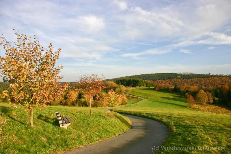 Haus Astenblick In Winterberg Fuer Bis Zu 35 Personen Fuer Wanderveranstaltungen Und Familienfeiern Экстерьер фото